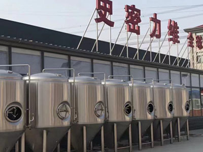 古交精酿啤酒设备厂—如何判断精酿啤酒设备的密封件需要更换？